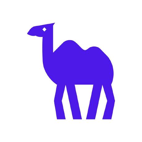 @camel-ai