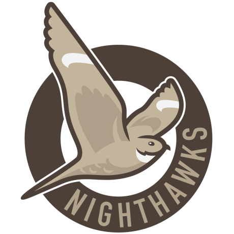 @nighthawks-2014