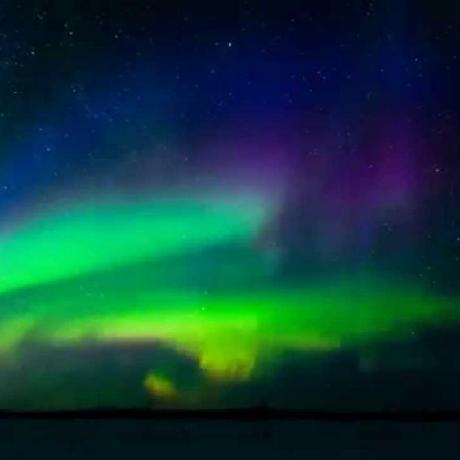 @ExceptionAccessViolation